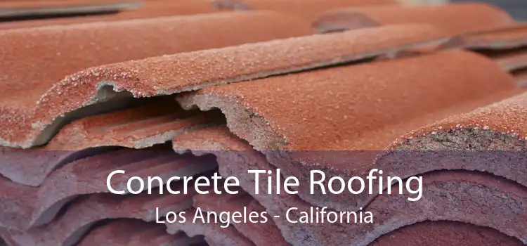 Concrete Tile Roofing Los Angeles - California