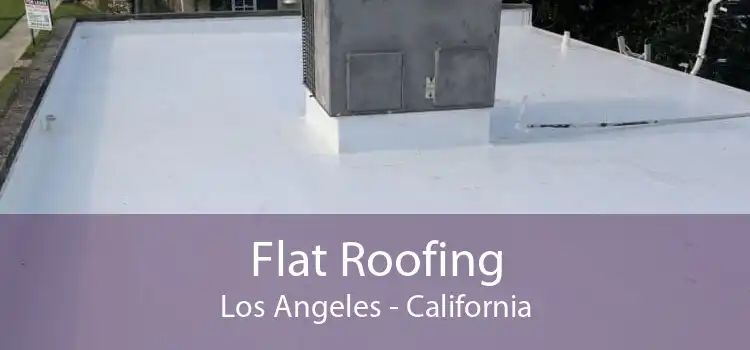 Flat Roofing Los Angeles - California