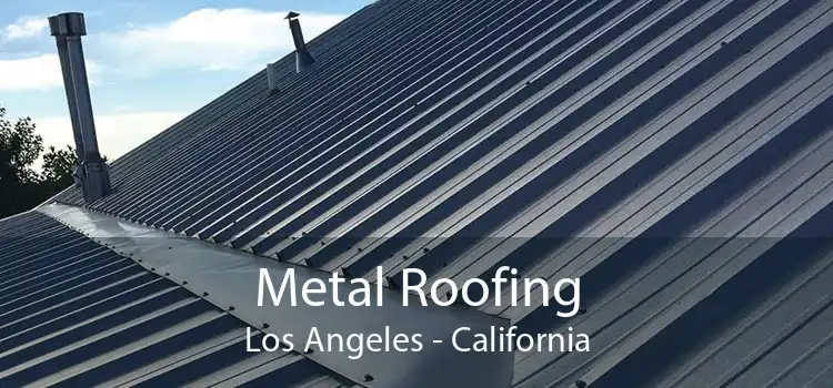 Metal Roofing Los Angeles - California