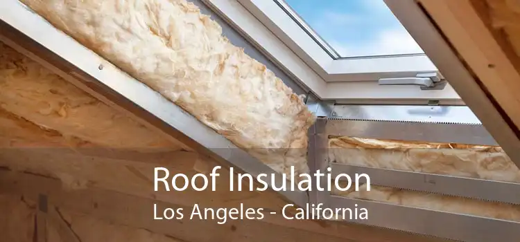 Roof Insulation Los Angeles - California