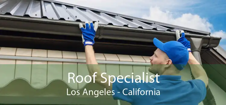 Roof Specialist Los Angeles - California