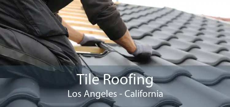 Tile Roofing Los Angeles - California