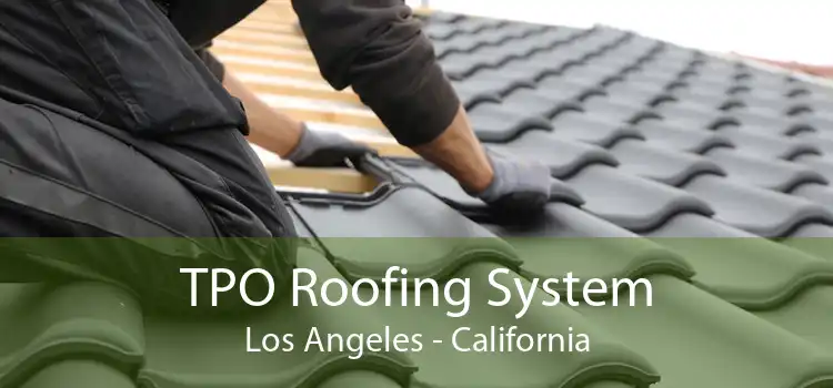 TPO Roofing System Los Angeles - California