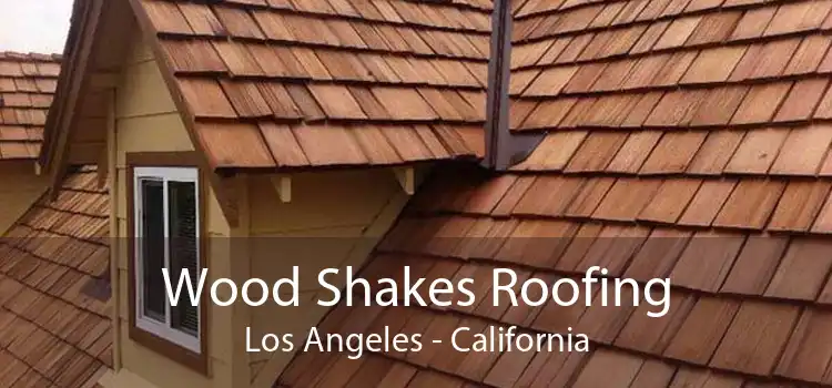 Wood Shakes Roofing Los Angeles - California